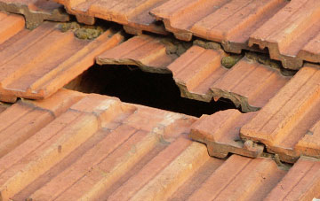 roof repair Bromfield